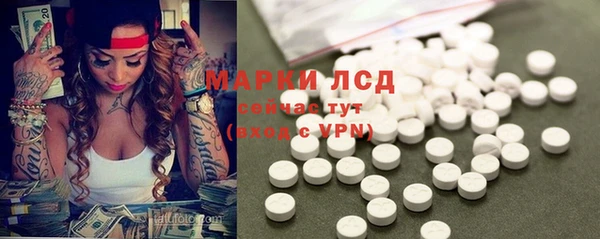 ПСИЛОЦИБИНОВЫЕ ГРИБЫ Баксан