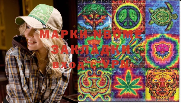 PSILOCYBIN Пересвет