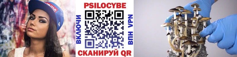 Псилоцибиновые грибы Psilocybe  Петушки 